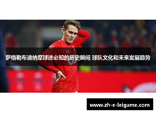 萨格勒布迪纳摩球迷必知的历史瞬间 球队文化和未来发展趋势